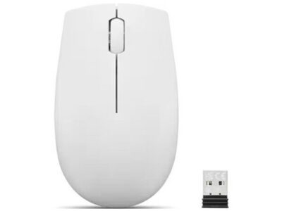 LENOVO Wireless Compact Mouse 300,Cloud Grey