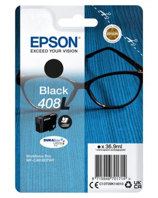 Epson Cartridge Black L C13T09K14010